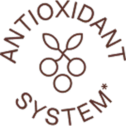 A brown logo that says 'Antioxidant System' in a circle around a stylized drawing of berries.