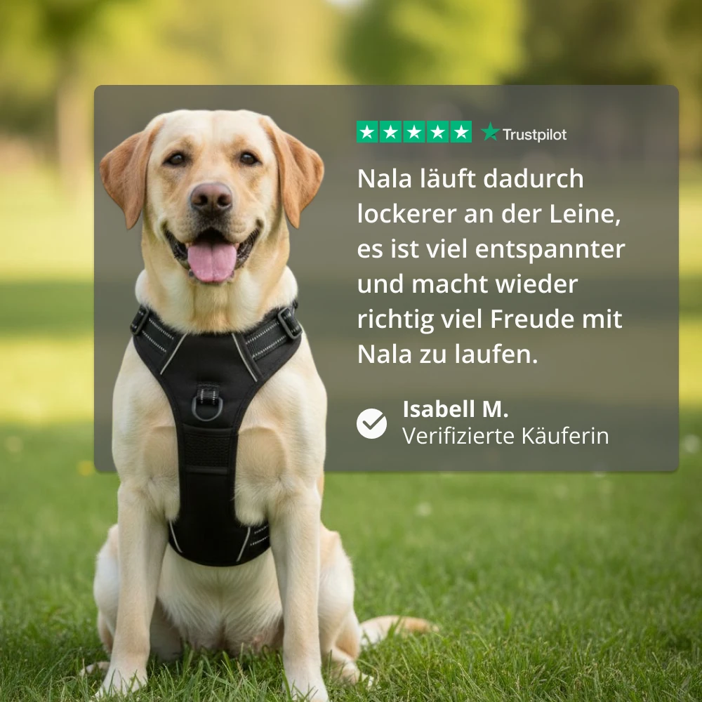 A yellow Labrador retriever in a black harness sits on grass behind a testimonial overlay from Trustpilot.