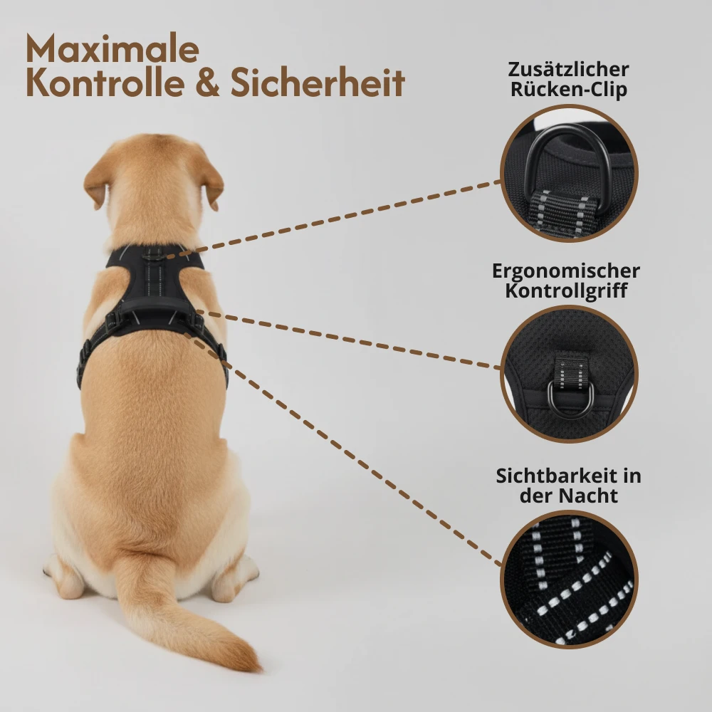 An infographic in German showing a dog from behind wearing a harness, highlighting its features.