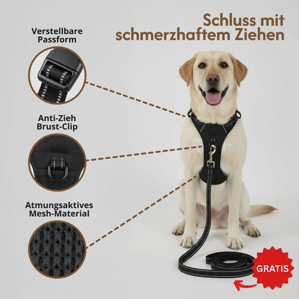 A yellow labrador wearing a black harness and leash, with callouts in German highlighting product features.