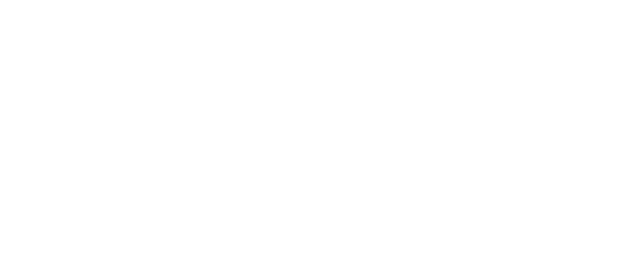 The Fell Stern logo, featuring a white paw print with a sparkle next to the words 'Fell Stern'.