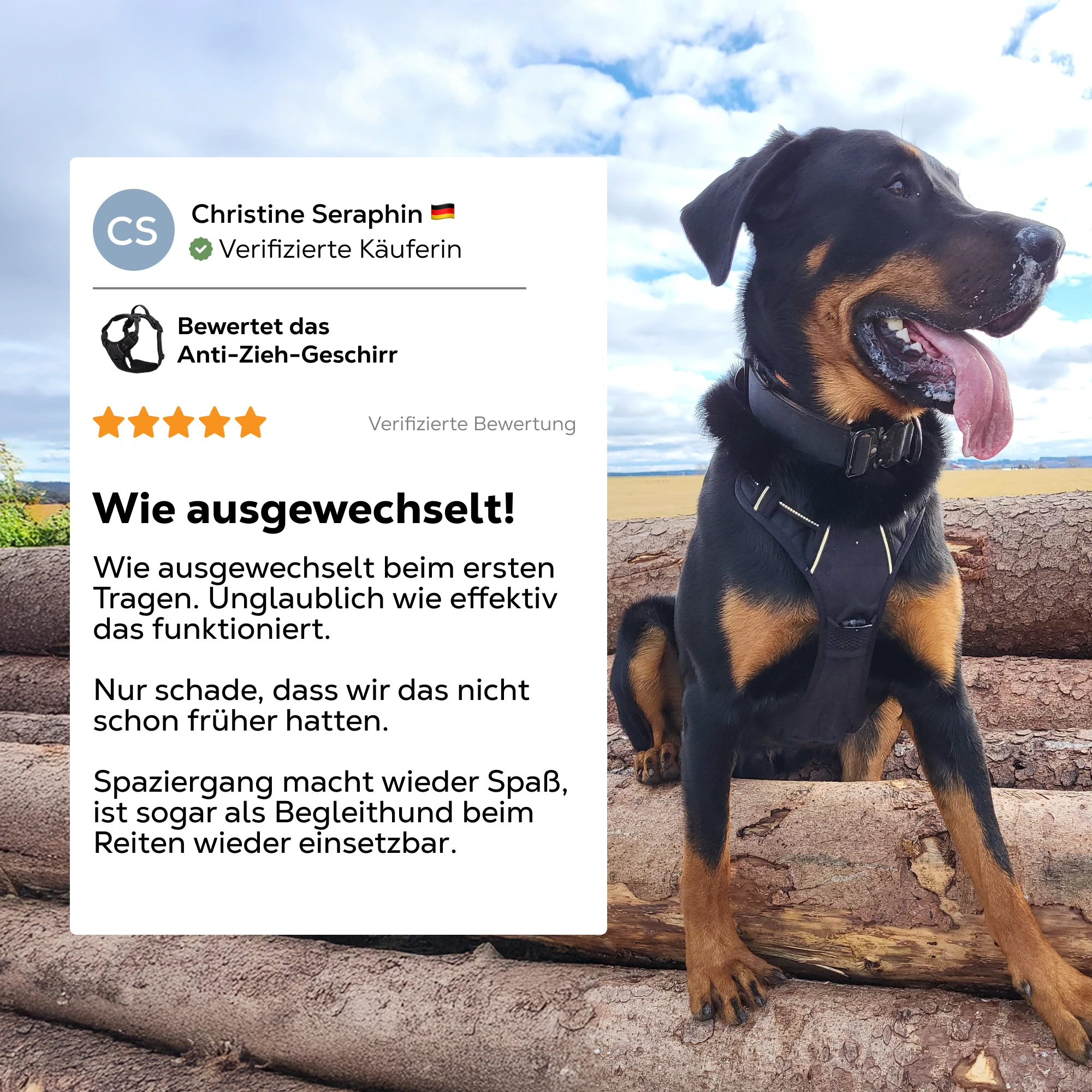 A black and tan dog wearing a harness sits on logs next to a customer review overlay.