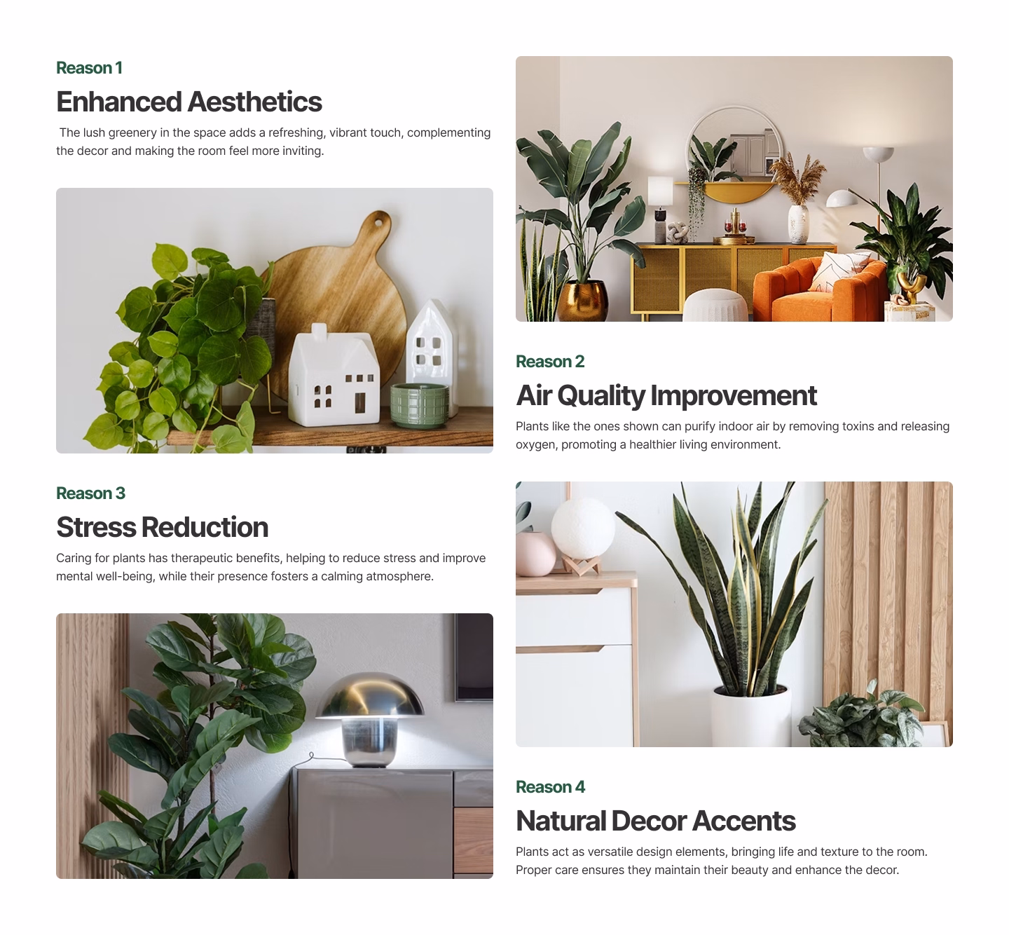 Four-image ecommerce landing page section highlights benefits of plants, including air quality and decor enhancement.