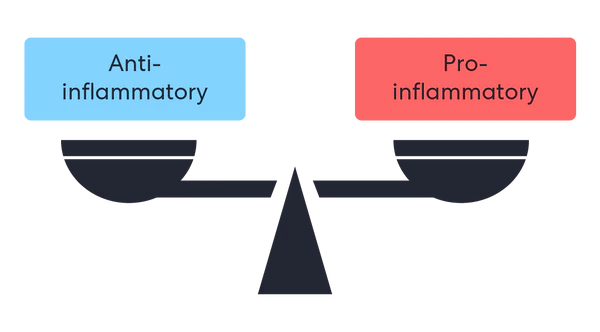 Illustration of a balance scale with 'Anti-inflammatory' and 'Pro-inflammatory' labels.