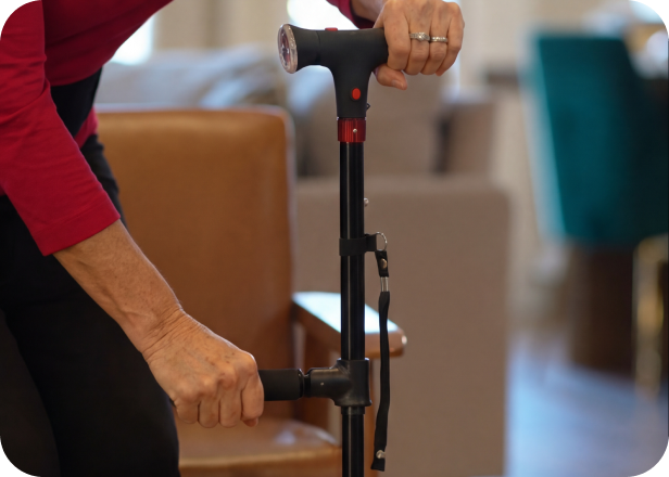 Dual handle cane grip