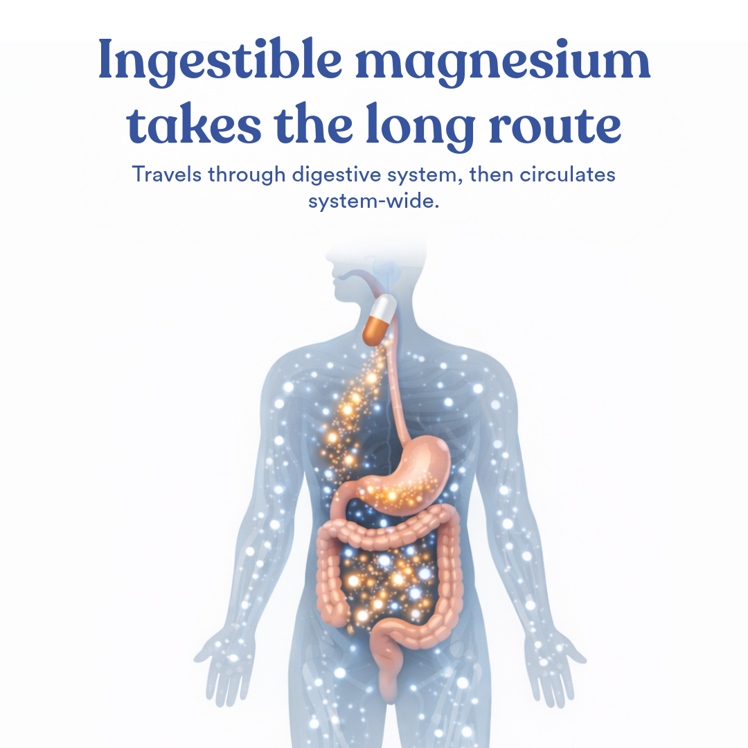 An illustration of a capsule traveling through the digestive system and circulating throughout the human body.