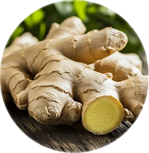 A close-up, circular image of a fresh ginger root, with one piece sliced open.