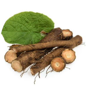 Several brown roots with green leaves on a white background.