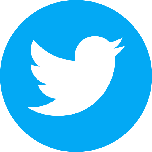The Twitter logo, featuring a white bird silhouette inside a solid blue circle.