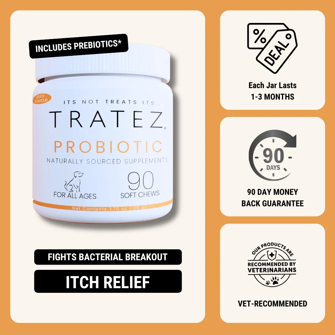 Jar of Tratez probiotic soft chews for dogs with promotional text and icons.