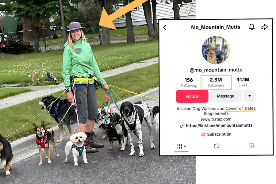 A composite image of a woman walking many dogs alongside a screenshot of her Mo_Mountain_Mutts TikTok profile.