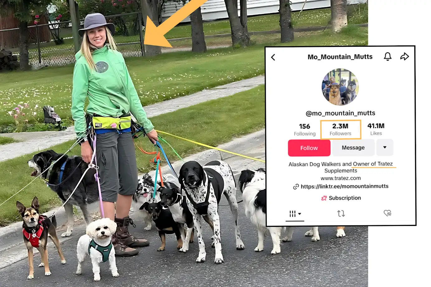 A woman walks a large pack of dogs, with an inset showing her popular TikTok profile.