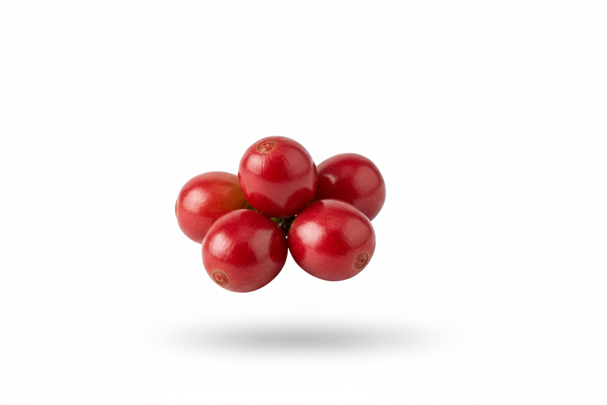 Cluster of red berries isolated on a white background.