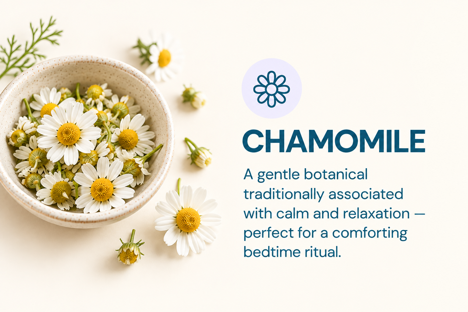 A bowl of fresh chamomile flowers next to text describing chamomile's relaxing properties.