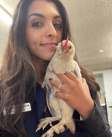 Dr. Sneha Iyengar