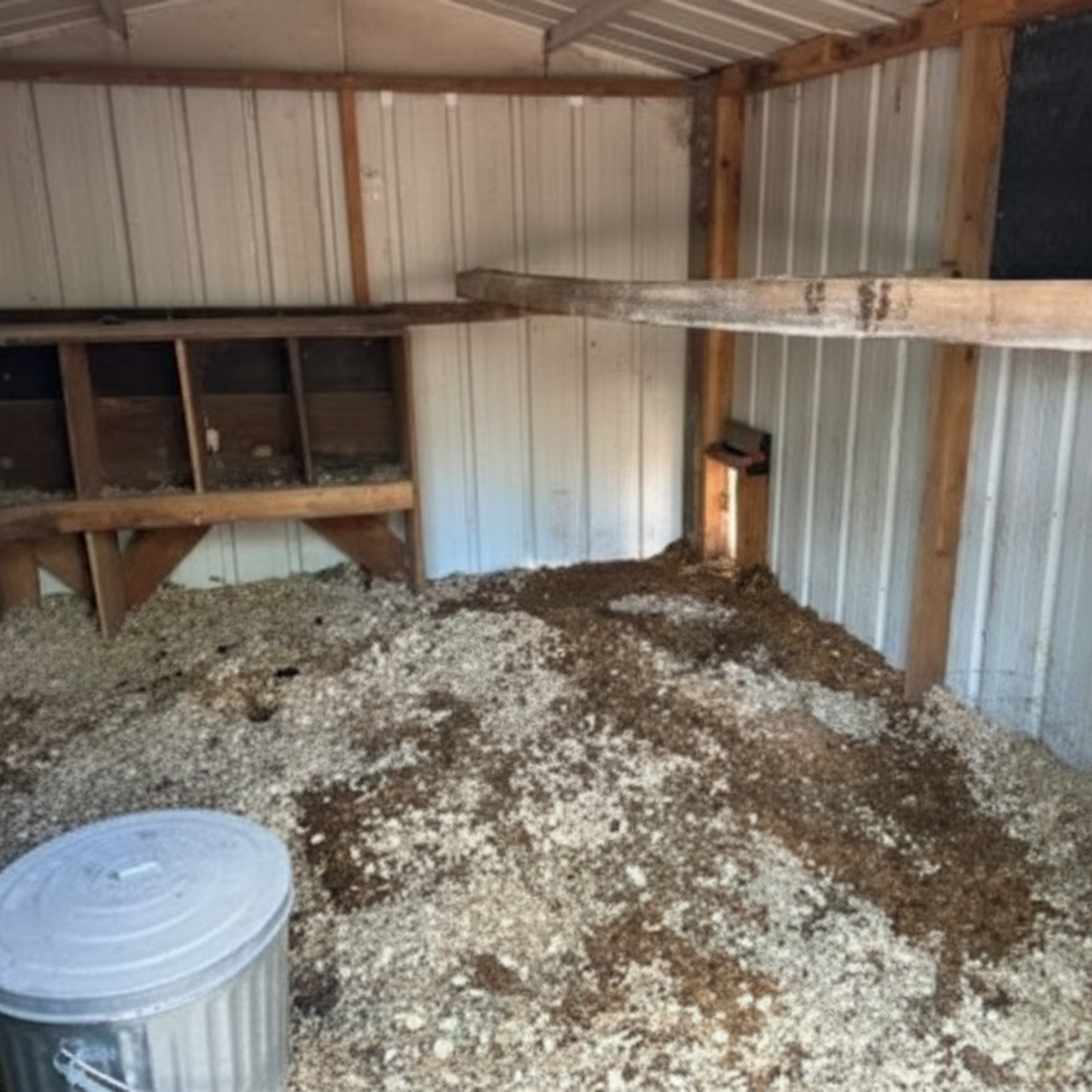 Interior of a chicken coop with nesting boxes and wood shavings on the floor.