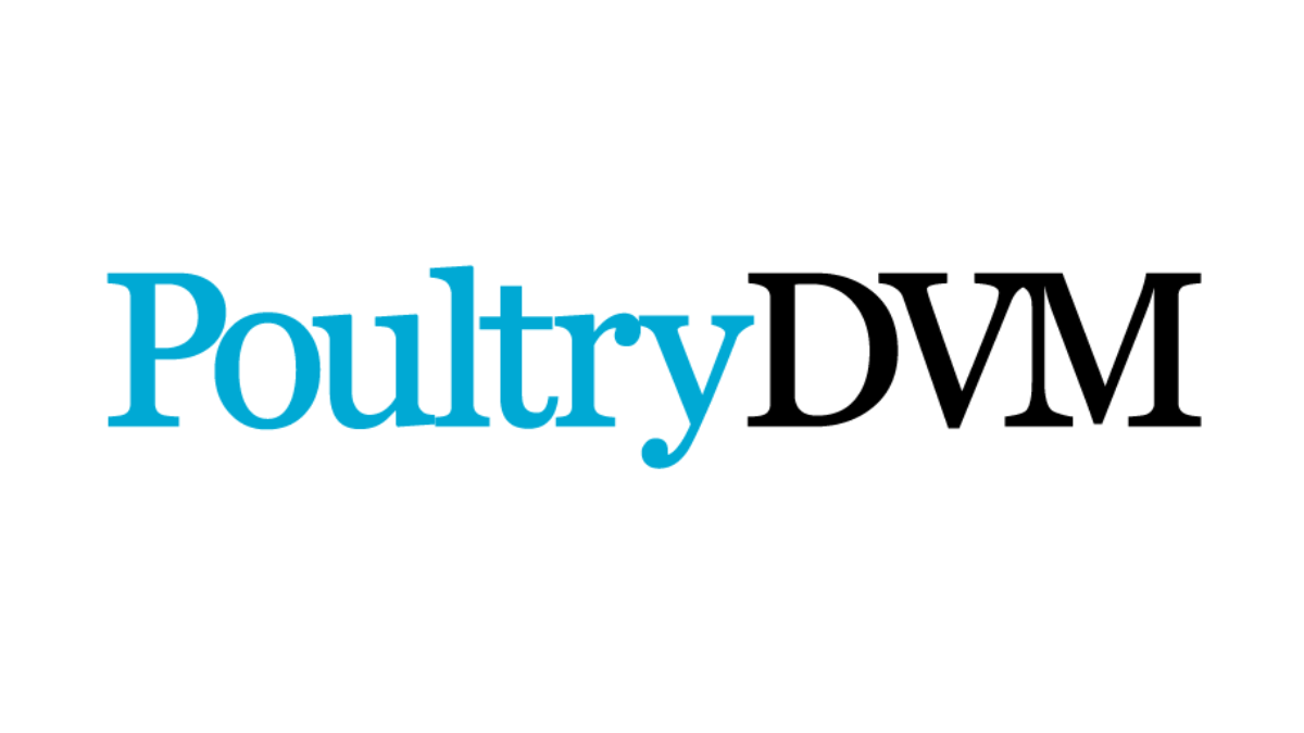 The logo for PoultryDVM, with 'Poultry' in blue and 'DVM' in black on a white background.