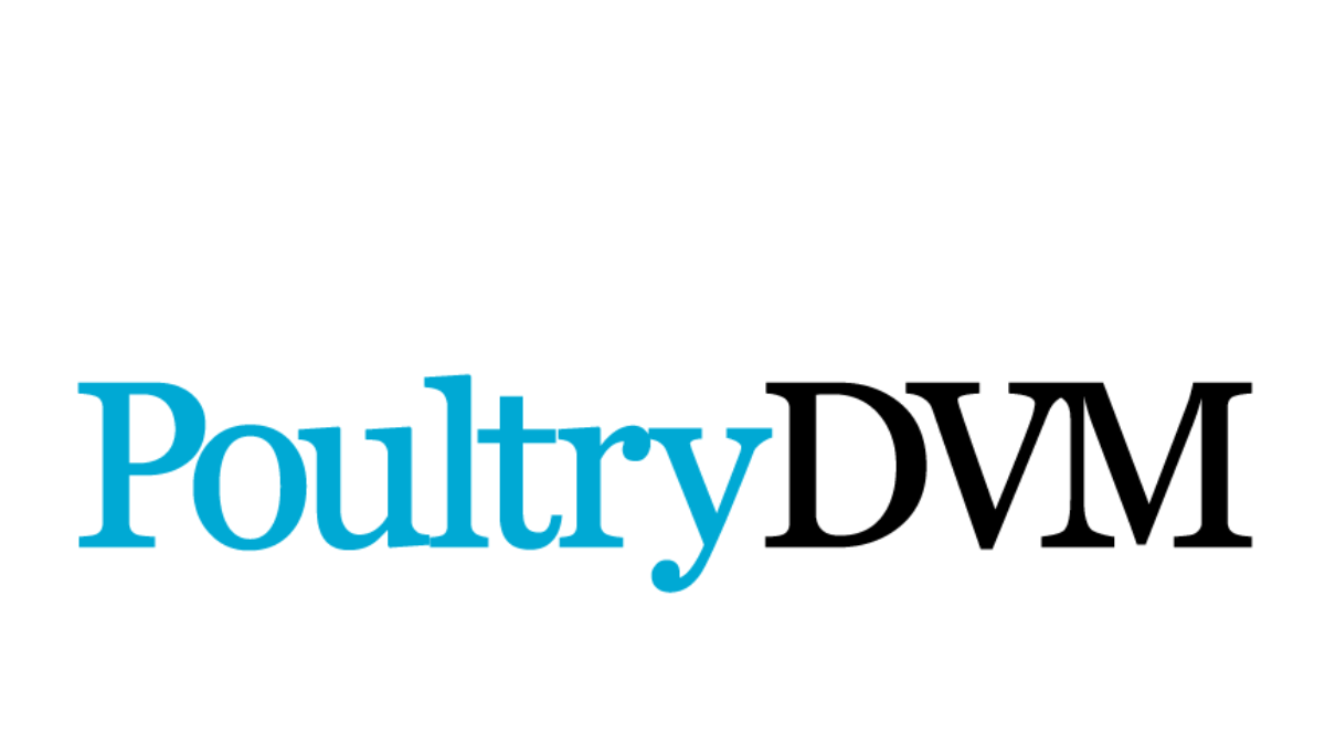 The logo for PoultryDVM, with 'Poultry' in blue and 'DVM' in black.