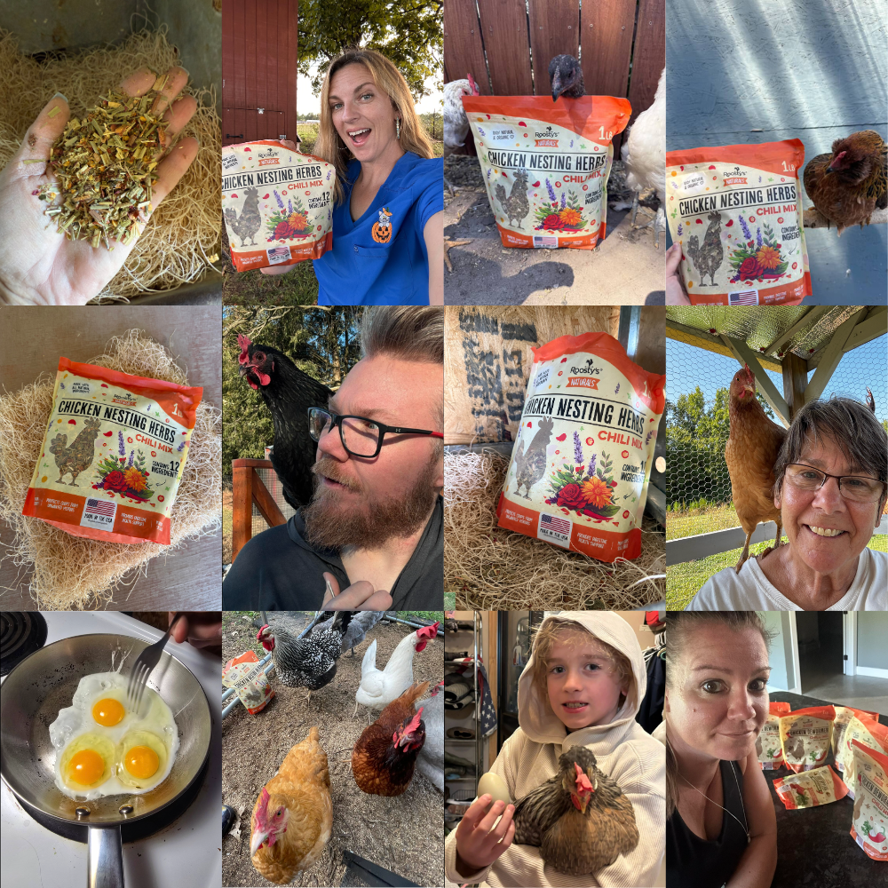 Collage showing people, chickens, and chicken nesting herb products in various settings.