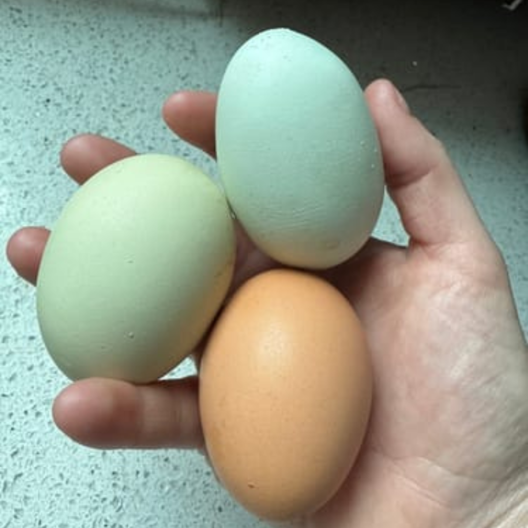 Hand holding three eggs of different colors.