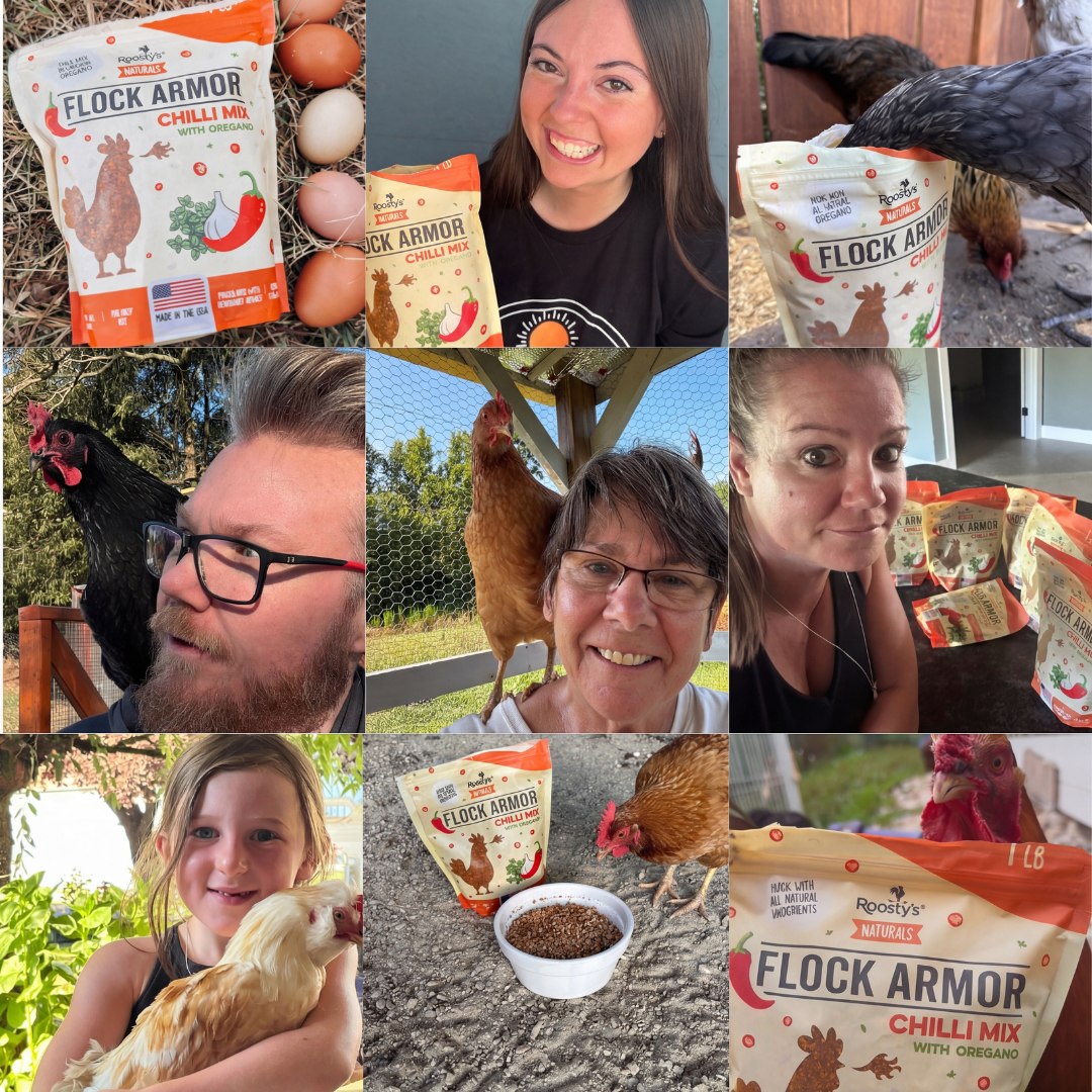 A collage of nine photos showing people and their chickens with bags of Flock Armor Chilli Mix.