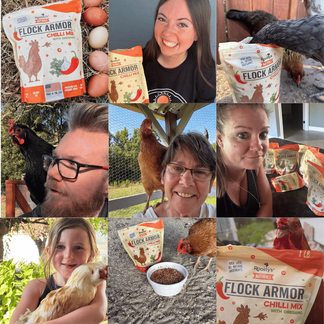 Roosty's customers and their chickens