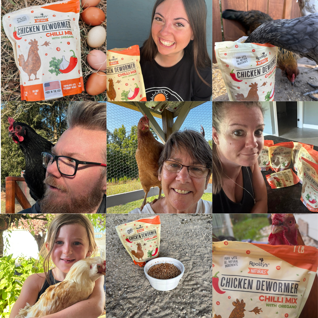 Collage of people, chickens, and Chicken Dewormer Chilli Mix package.