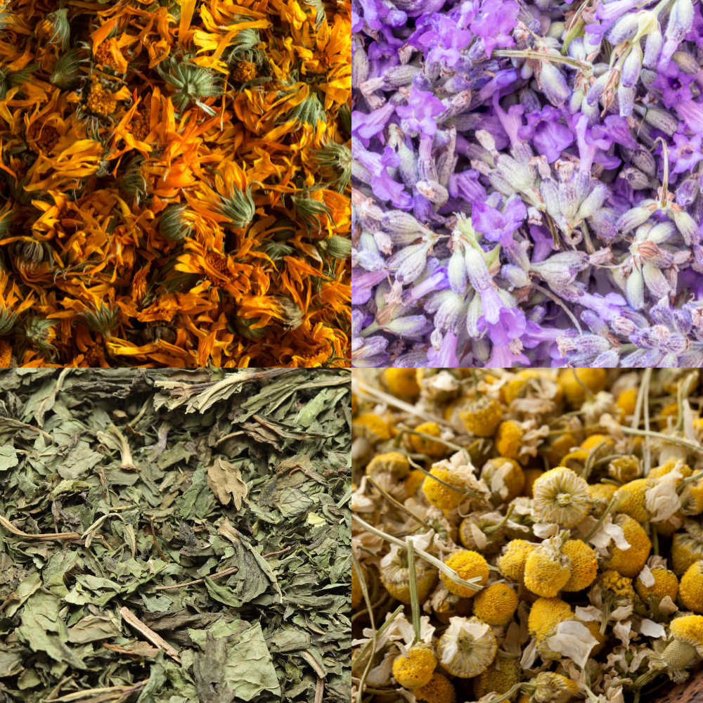 Four sections of dried colorful herbs and flowers.
