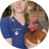 A woman in blue scrubs holding a brown chicken, shown in a circular frame.