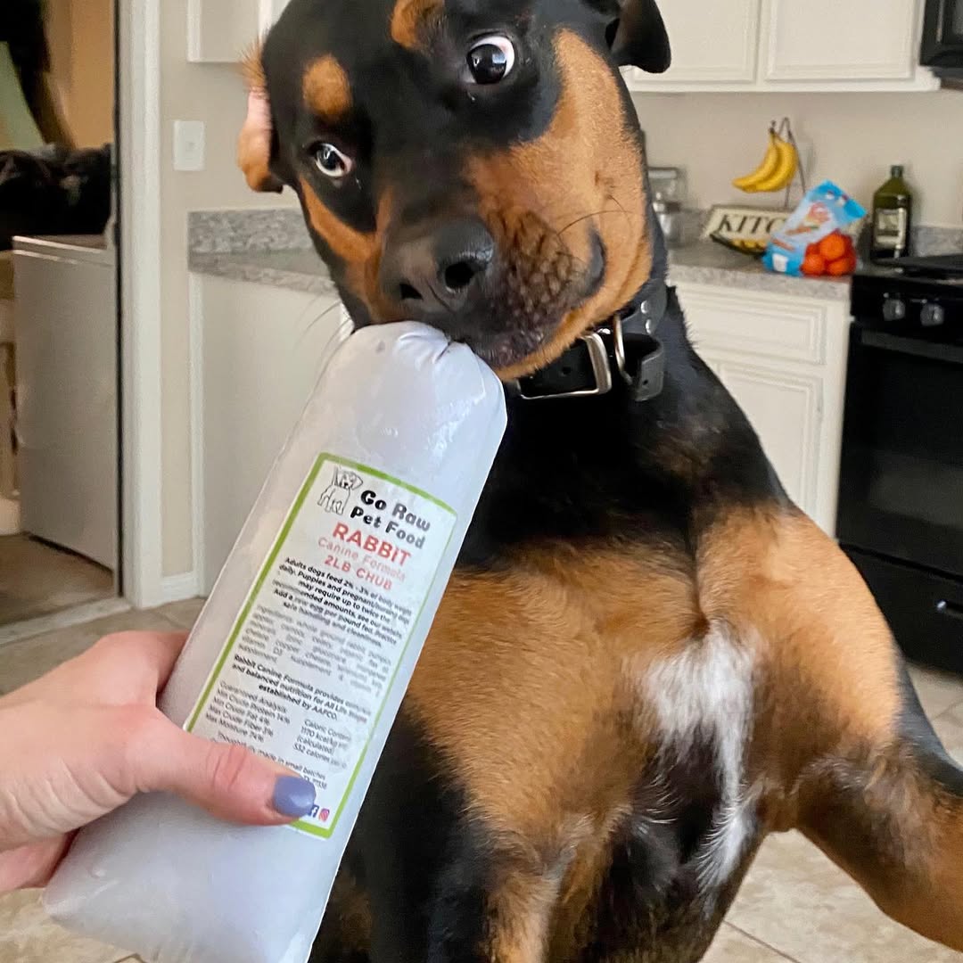 Dog biting a package of raw pet food in a kitchen.