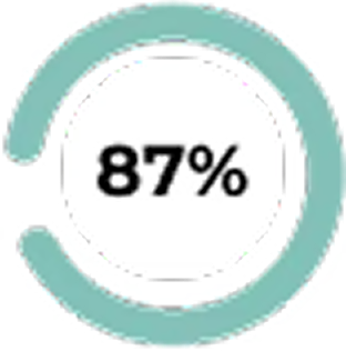 A circular progress bar displaying 87% completion.