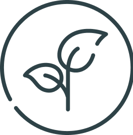 Simple line drawing of two leaves within a circle.