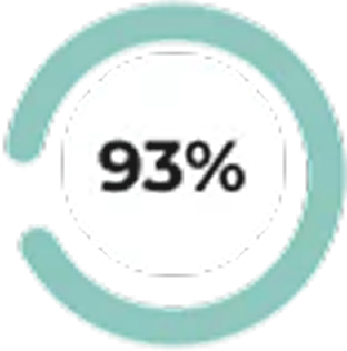 A percentage circle chart displaying 93% with a teal border.