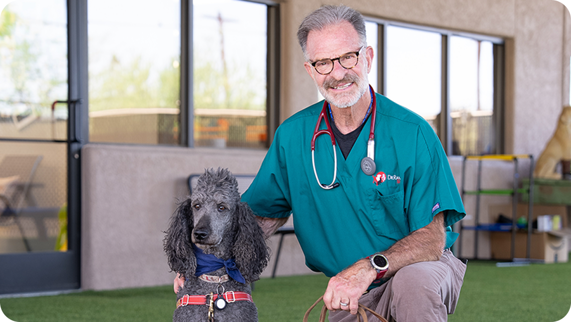 Man in scrubs with a stethoscope kneeling beside a poodle.