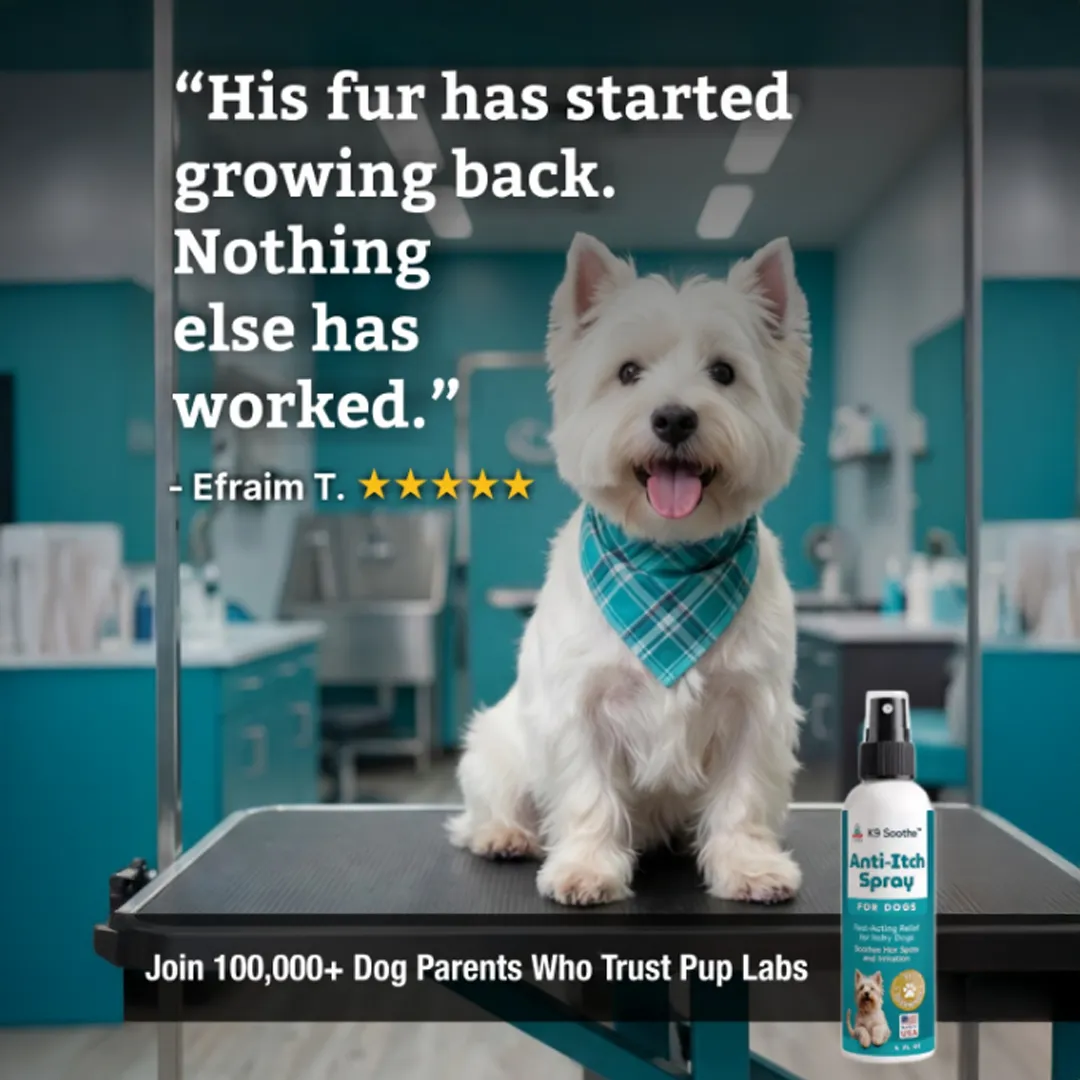 A white terrier sits on a grooming table next to a bottle of K9 Soothe Anti-Itch Spray.