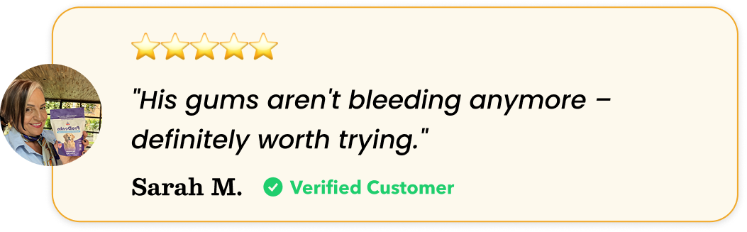 A five-star review from Sarah M. reading, 'His gums aren't bleeding anymore – definitely worth trying.'