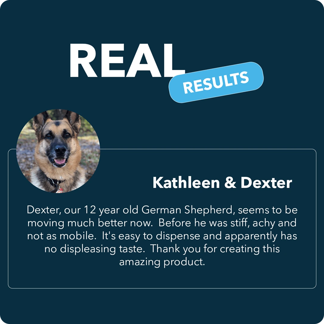 German Shepherd with testimonial text 'Real Results' on a dark background.