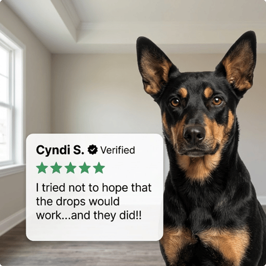 Verified customer review