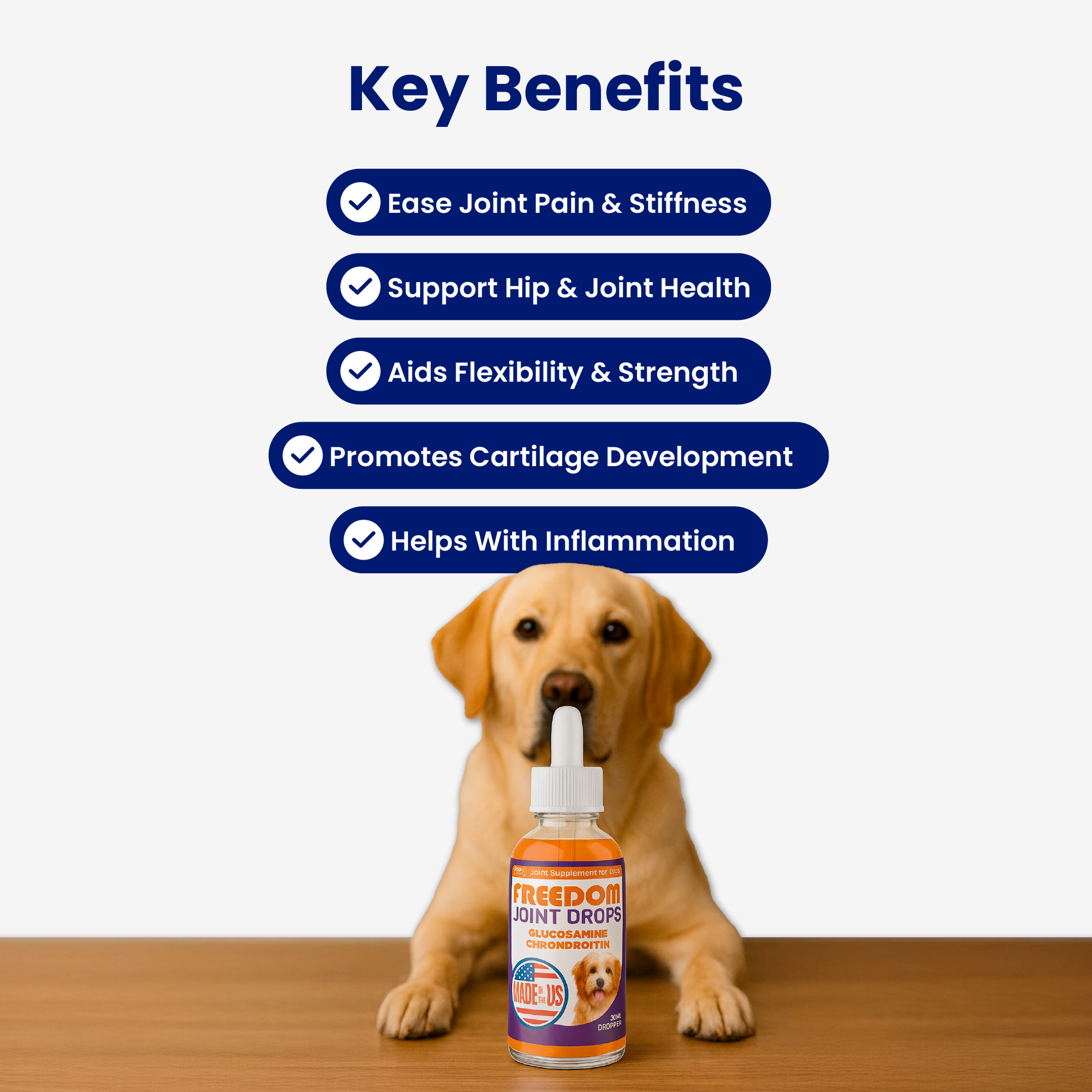 Dog with joint supplement bottle and benefits list.