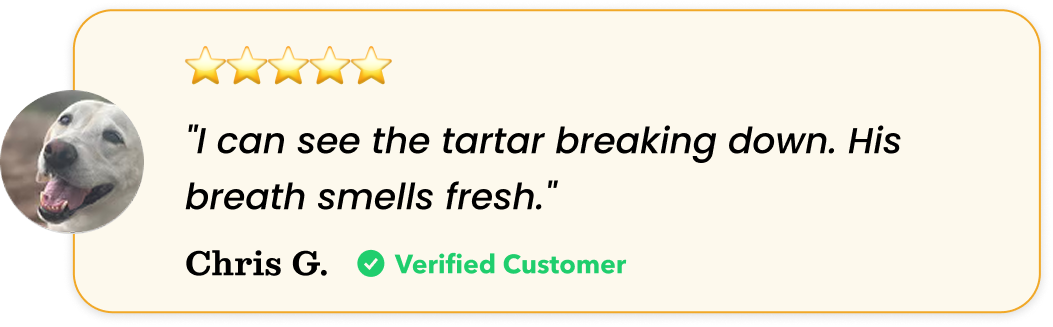 A 5-star customer review from Chris G. with a photo of a happy dog and a positive quote.