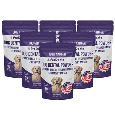 Prodenta Dental Powder, 6 packs