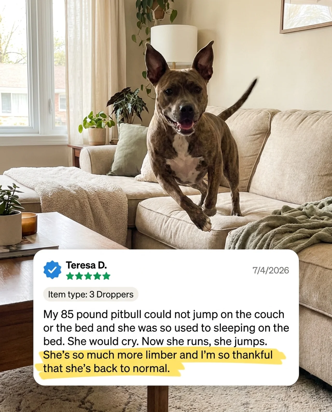 Verified customer review