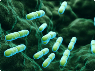 Microscopic view of green rod-shaped bacteria on a textured surface.