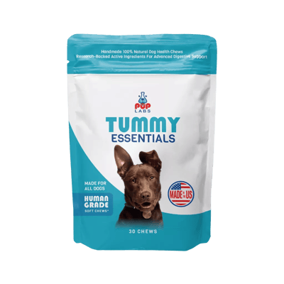 Tummy Essentials Digestive Chews, 1 pack