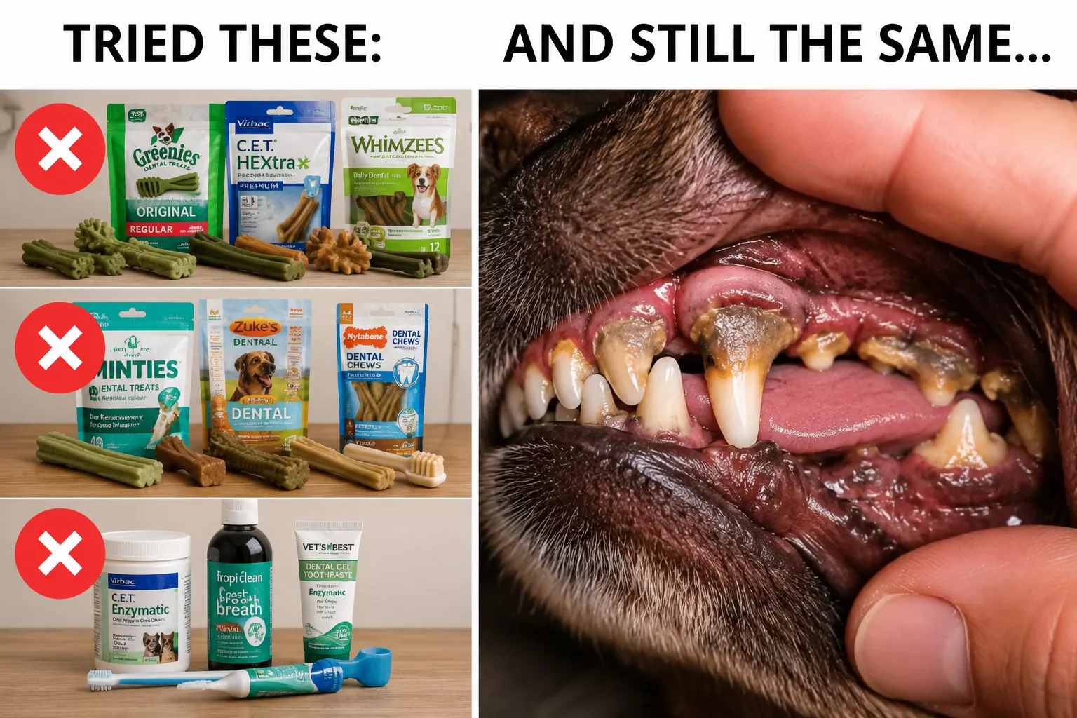 A before-and-after style image showing various dog dental products next to a dog's unhealthy, plaque-covered teeth.