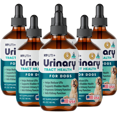K9 UTI+, 6 packs