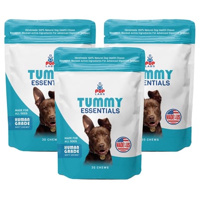 Tummy Essentials Digestive Chews, 3 packs