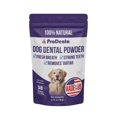 Prodenta Dental Powder, 1 pack