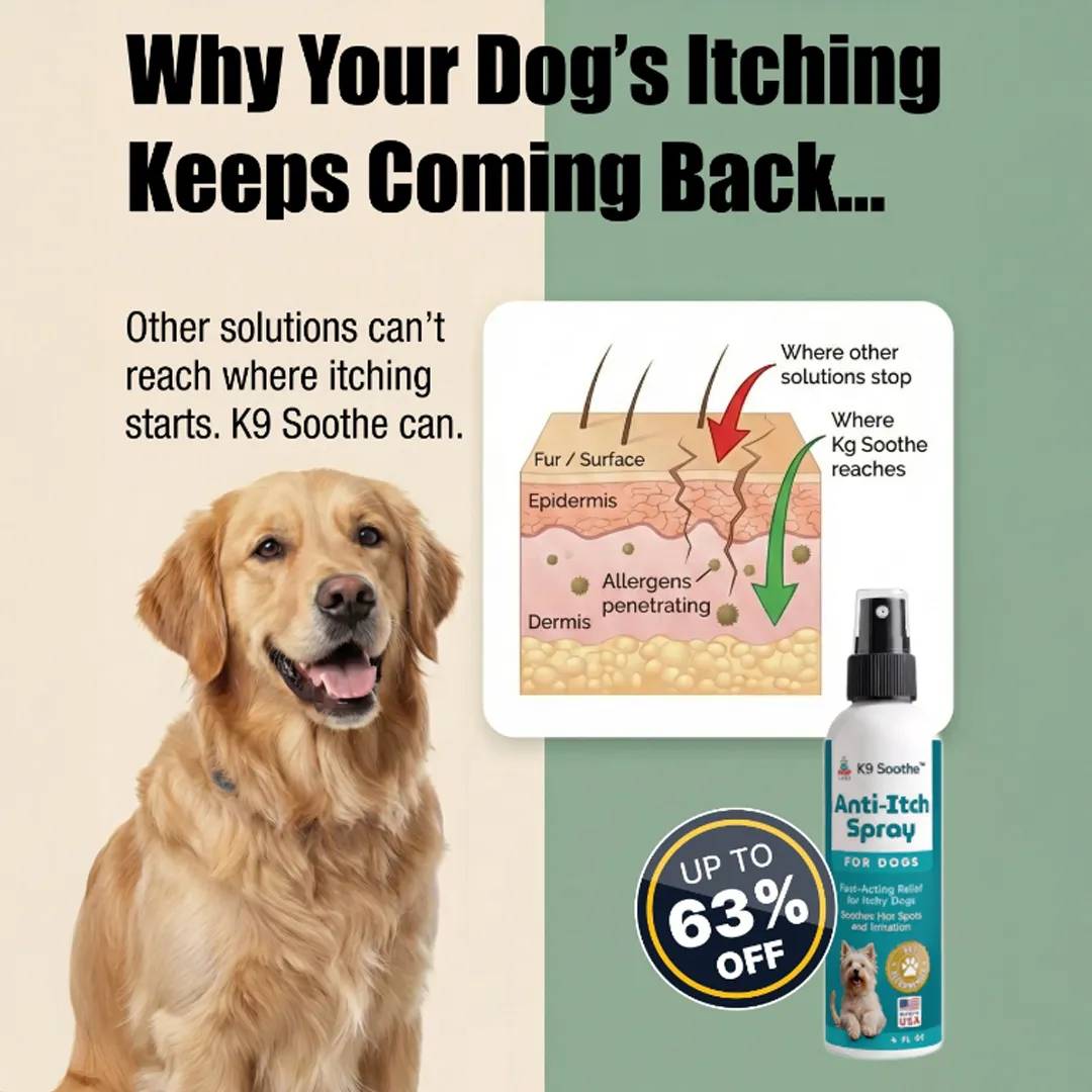 An advertisement for K9 Soothe Anti-Itch Spray featuring a golden retriever and a diagram of dog skin.