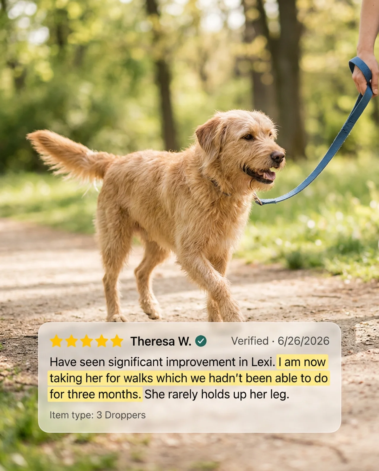 Verified customer review